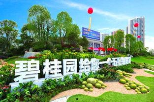 新县碧桂园爆料最新消息